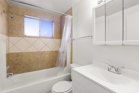 a bathroom with a sink and a toilet and a shower